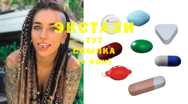 индика Киреевск