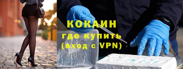 индика Киреевск