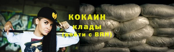 индика Киреевск