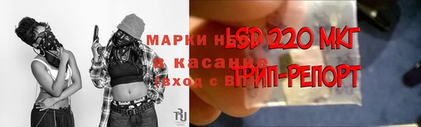 индика Киреевск