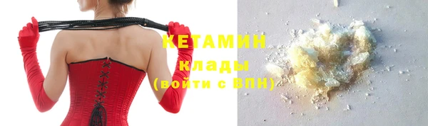 индика Киреевск