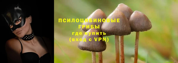 ГАЛЛЮЦИНОГЕННЫЕ ГРИБЫ Кинешма