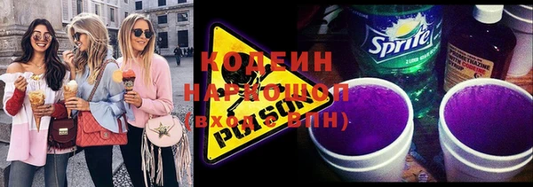 индика Киреевск