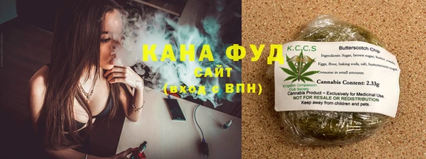 индика Киреевск