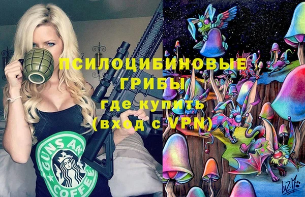 ГАЛЛЮЦИНОГЕННЫЕ ГРИБЫ Кинешма