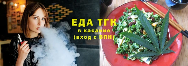индика Киреевск