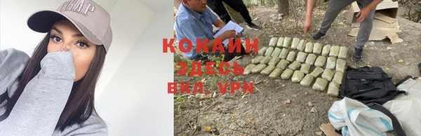 индика Киреевск