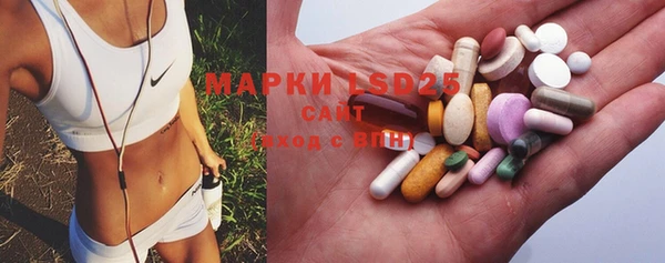 индика Киреевск