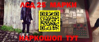 амф Новозыбков