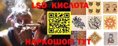 тгк Новодвинск