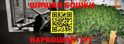 тгк Новодвинск