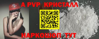 тгк Новодвинск