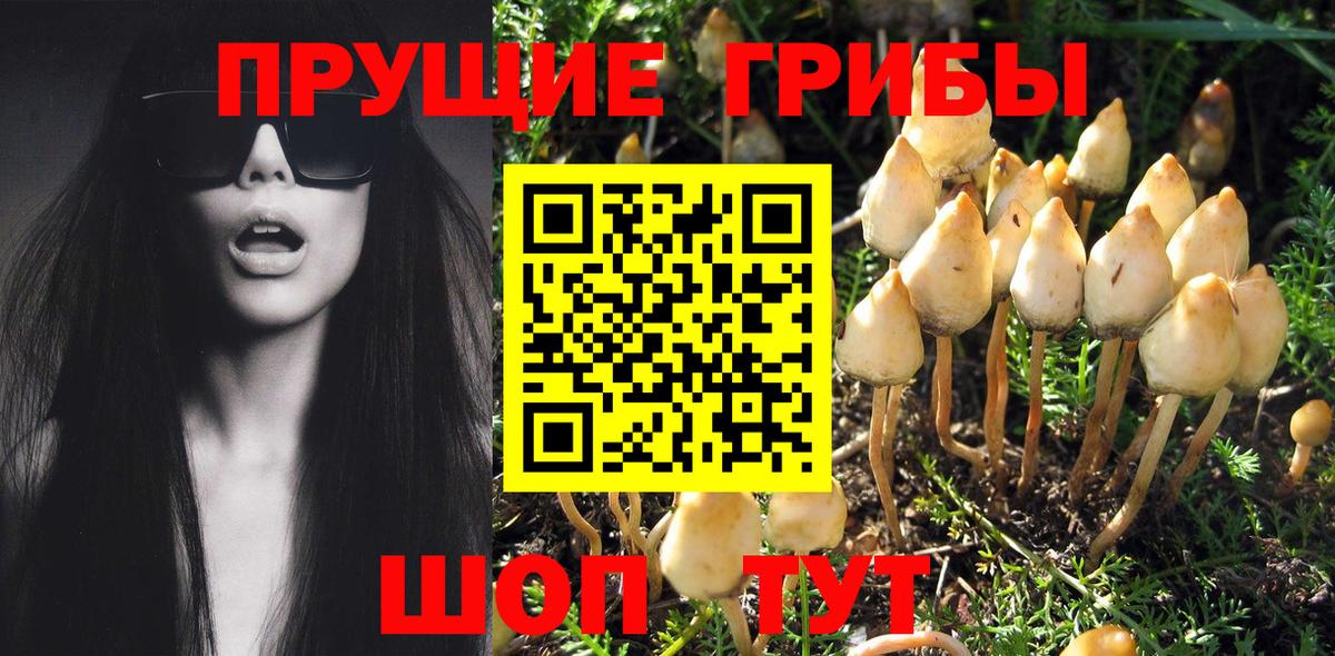Галлюциногенные грибы Magic Shrooms Северодвинск