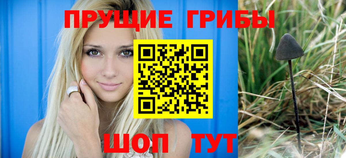 Псилоцибиновые грибы Psilocybine cubensis  Вход с VPN  Псилоцибиновые грибы Psilocybine cubensis  цена   Северодвинск 